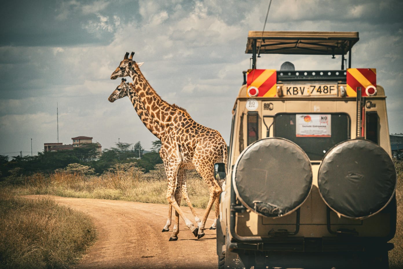Serengeti