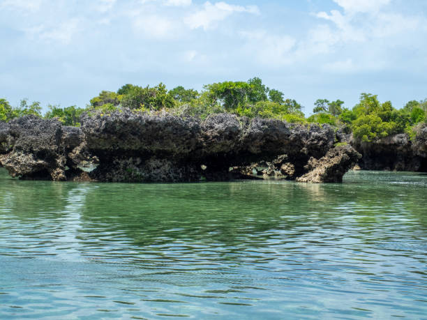 Watamu Marine Park